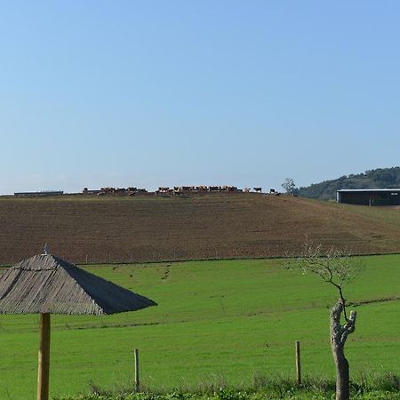 Herdade Dos Montes Bastos Santa Luzia  Luaran gambar
