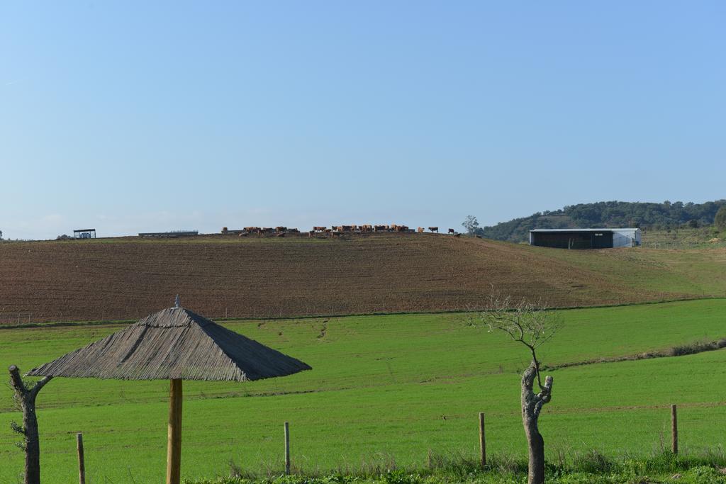 Herdade Dos Montes Bastos Santa Luzia  Luaran gambar